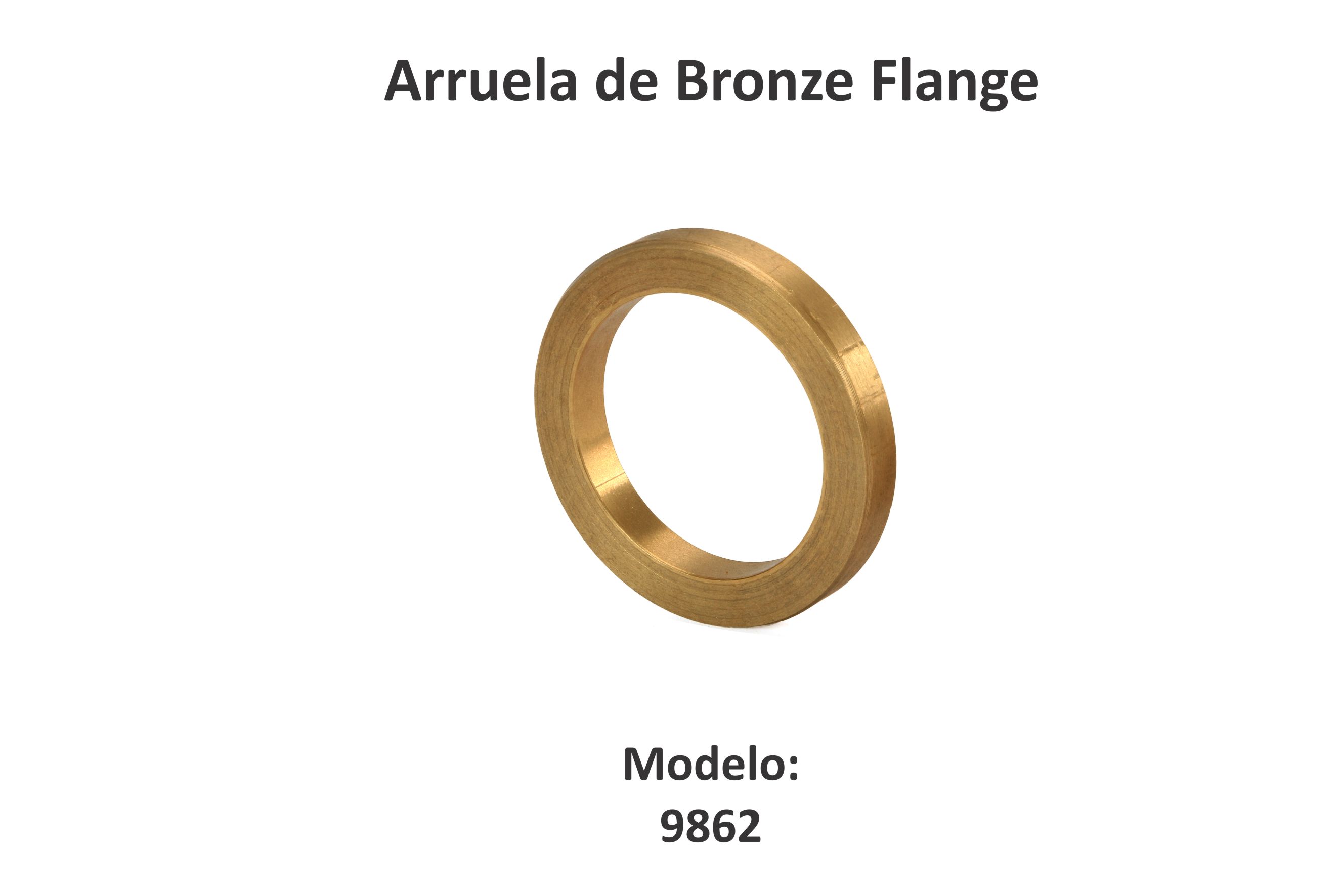 Arruela Flange.jpg
